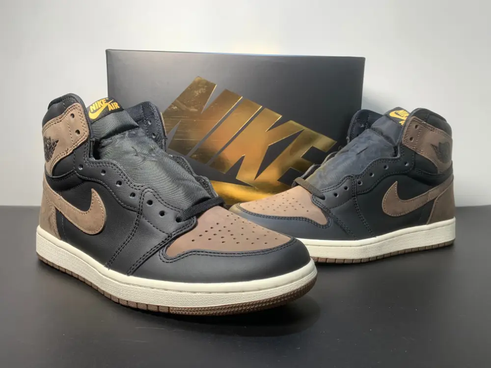 Air Jordan 1 High OG “Palomino”DZ5485-020 