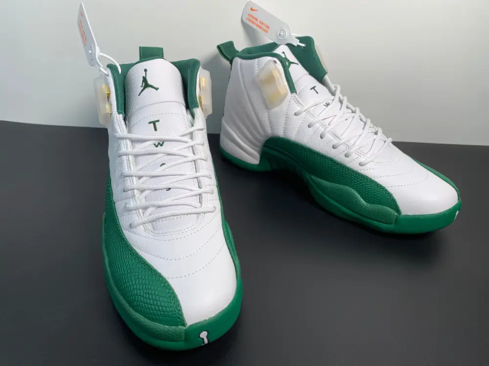 Air Jordan 12 PE Ray Allen 