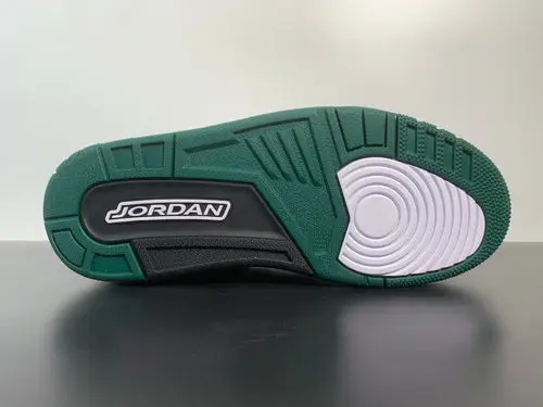 Air Jordan 3 Retro 'Oregon Pit Crew - Home' 282233-594 