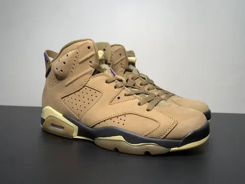 Air Jordan 6 WMNS GORE-TEX “Brown Kelp” FD1643-300 