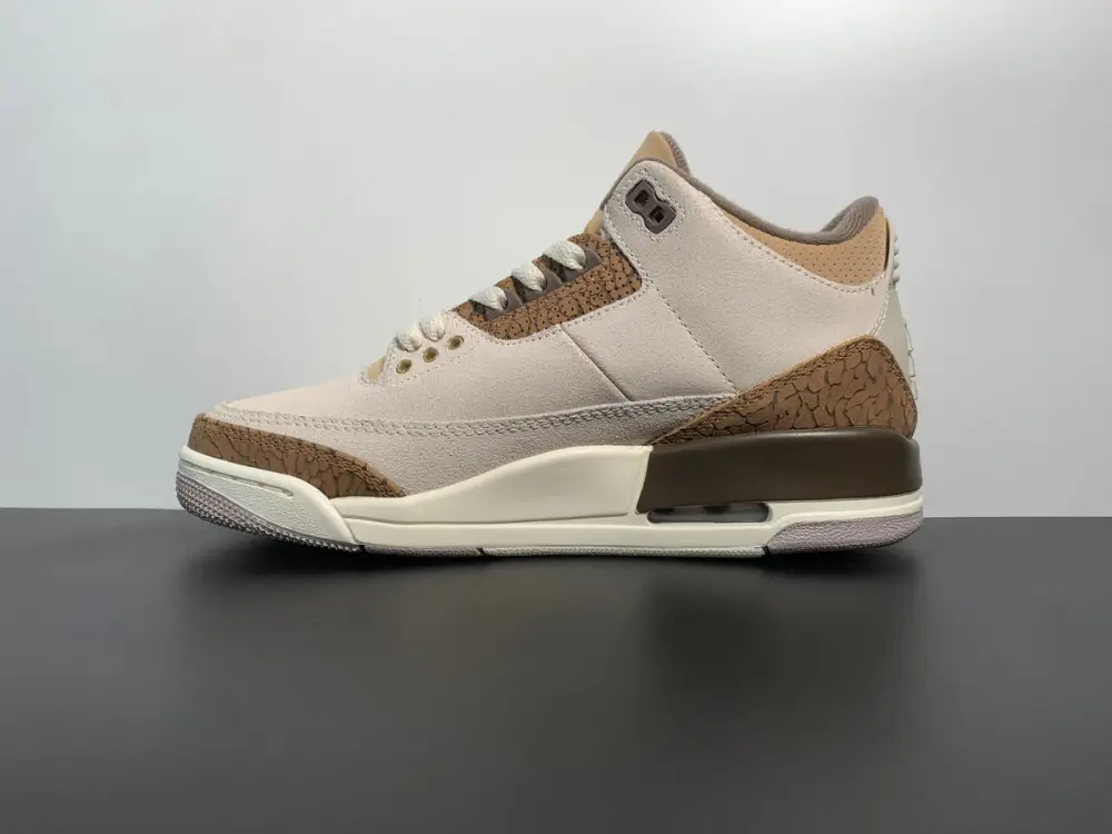 Air Jordan 3 Palomino CT8532-102 