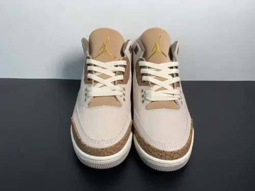 Air Jordan 3 Palomino CT8532-102 