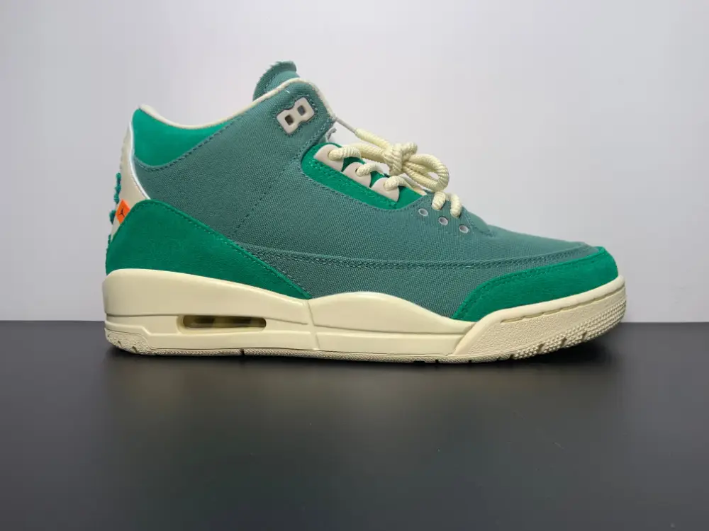 Nina Chanel Abney x Air Jordan 3 OG SP WMNS Bicoastal FZ7974-300 7A8A7428