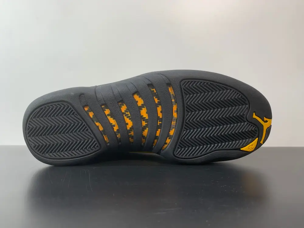 Air Jordan 12 Retro 'Black Taxi' 