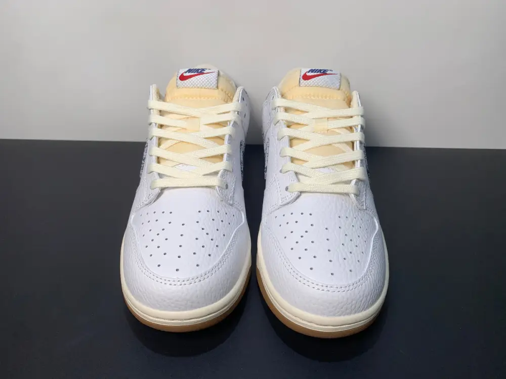 Nike Dunk Low “Washed Denim” FN6881-100 
