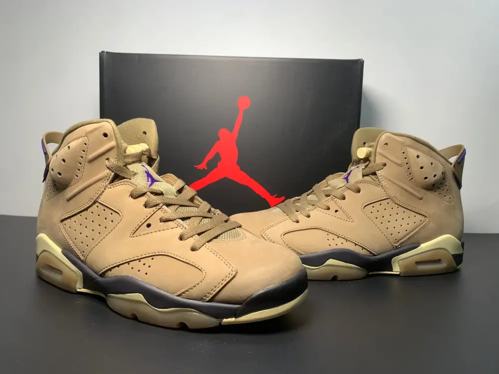 Air Jordan 6 WMNS GORE-TEX “Brown Kelp” FD1643-300 