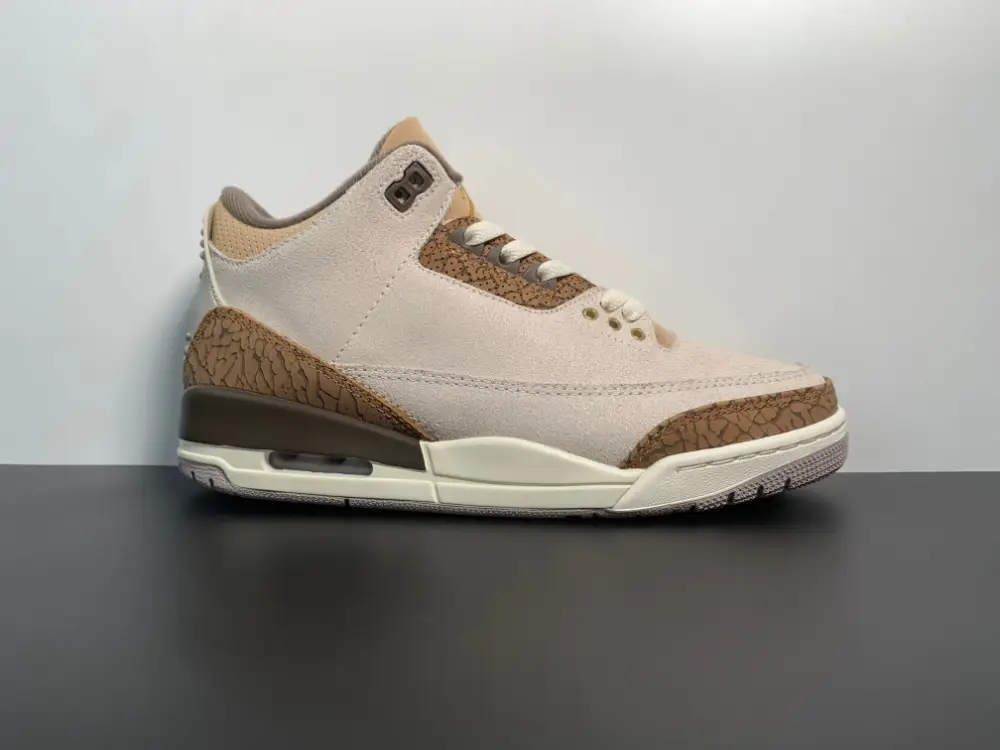 Air Jordan 3 Palomino CT8532-102 