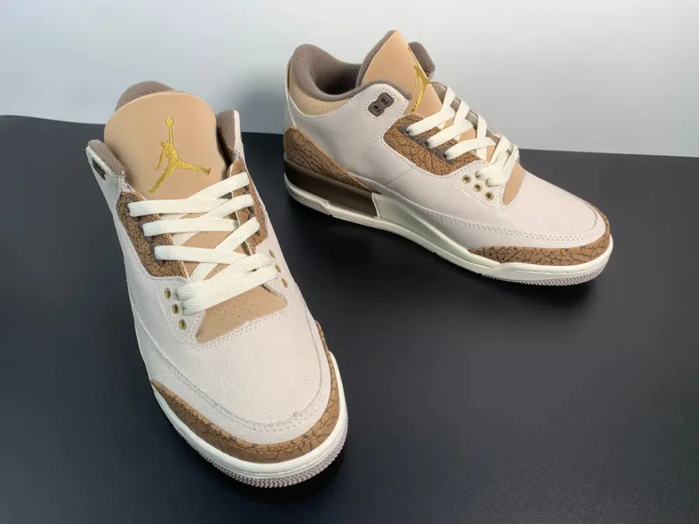 Air Jordan 3 Palomino CT8532-102 