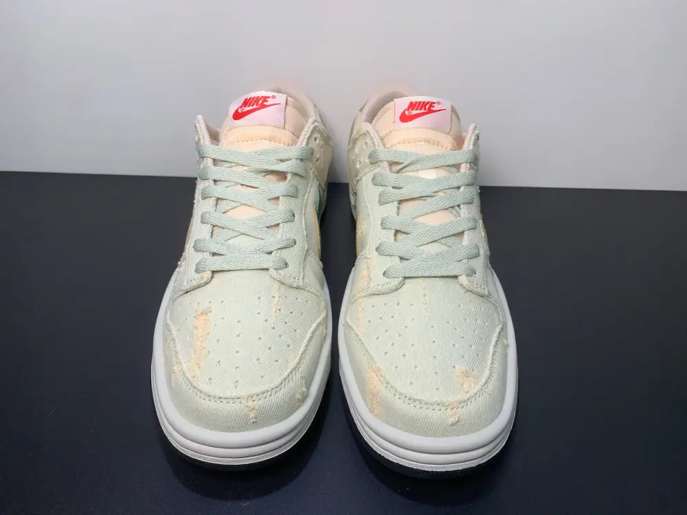 Nike Sb Dunk Low custom 