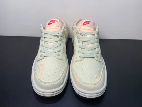 Nike Sb Dunk Low custom 