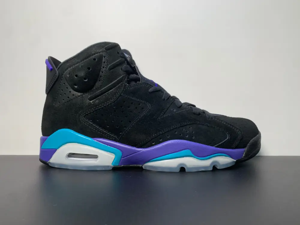 Air Jordan 6 “Aqua”Blue Purple CT8529-004 