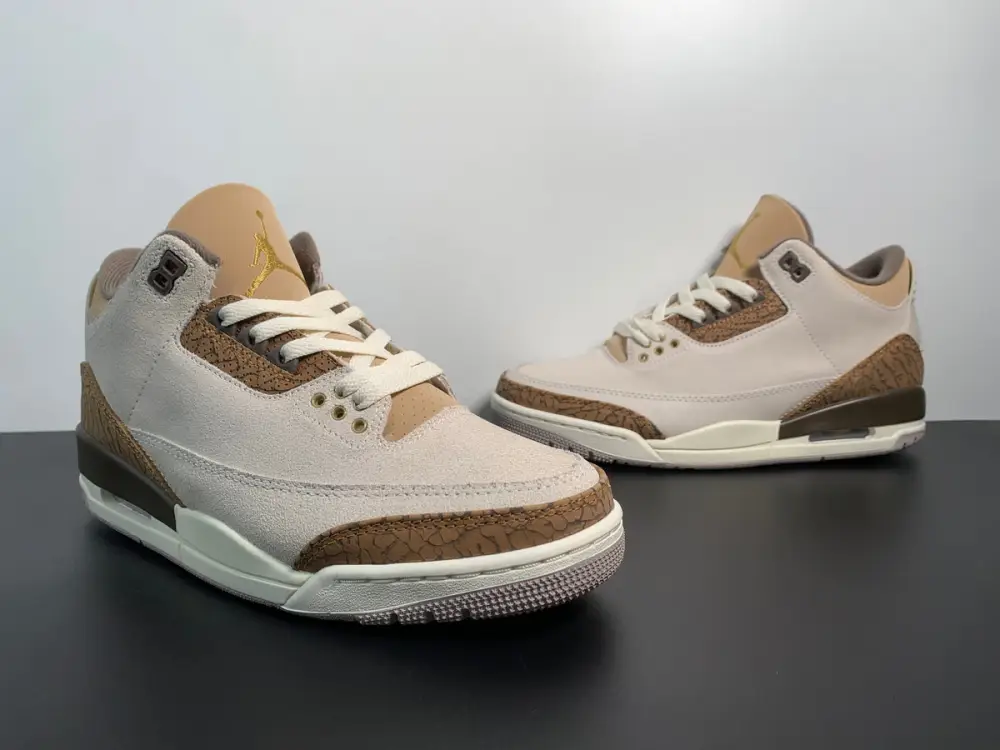 Air Jordan 3 Palomino CT8532-102 