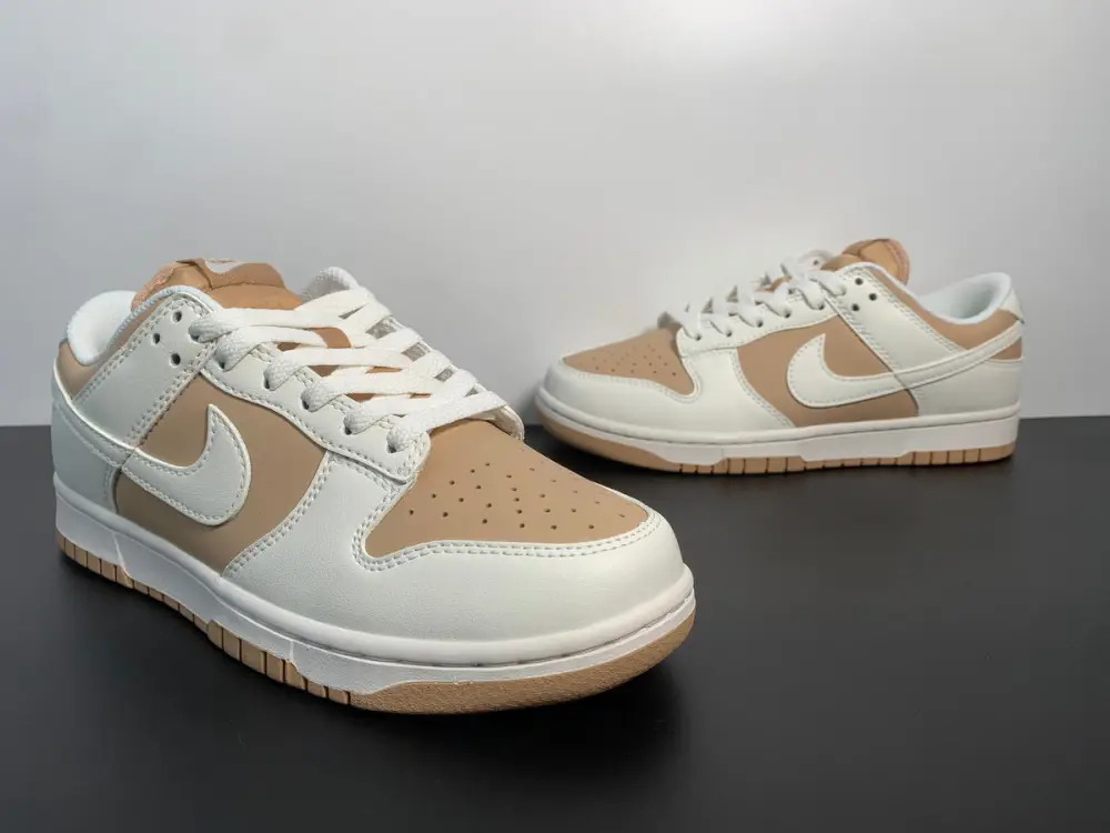 Nike Dunk Low Next Nature “Hemp” DD1873-200 