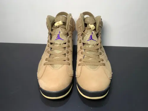 Air Jordan 6 WMNS GORE-TEX “Brown Kelp” FD1643-300 