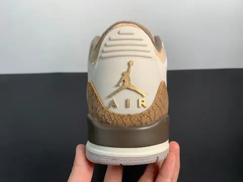 Air Jordan 3 Palomino CT8532-102 