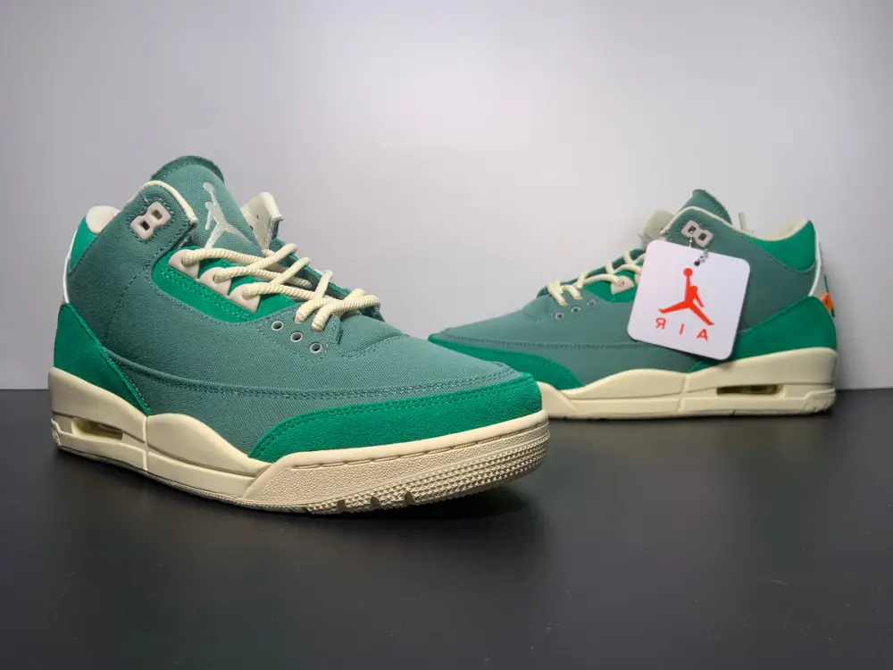 Nina Chanel Abney x Air Jordan 3 OG SP WMNS Bicoastal FZ7974-300 