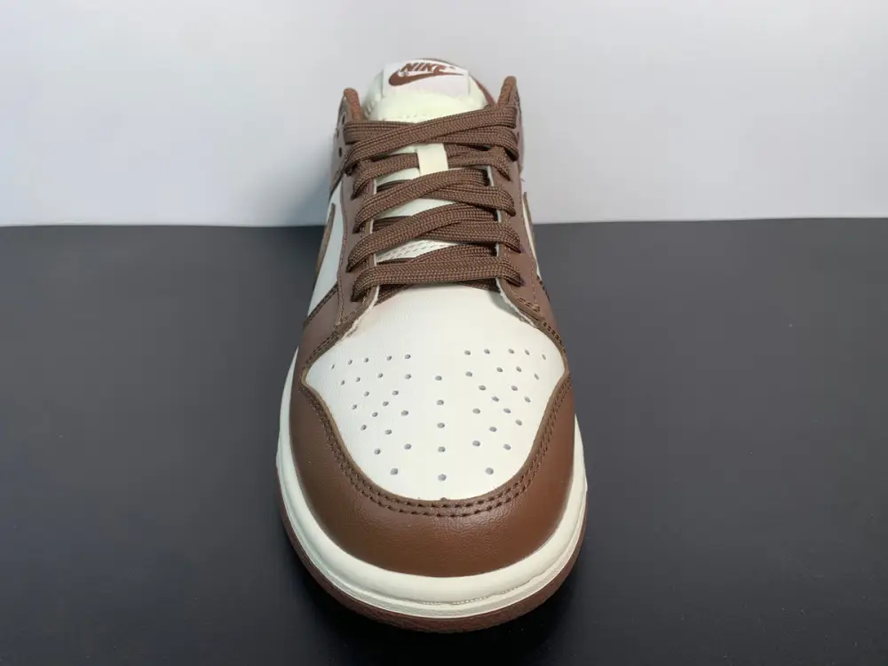 Nike Dunk Low Cacao Wow DD1503-124 