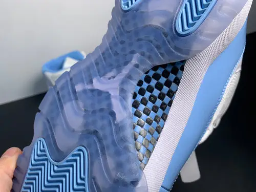 Air Jordan 11 UNC CT8012-141 