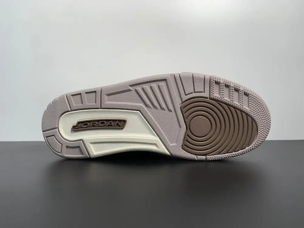Air Jordan 3 Palomino CT8532-102 