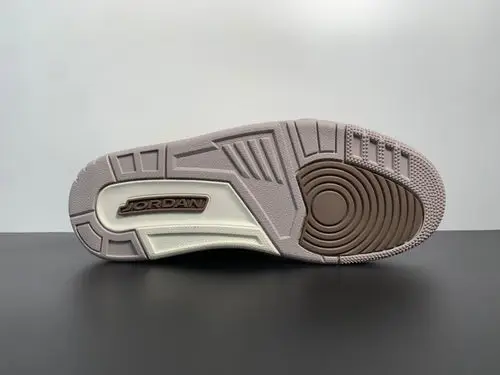 Air Jordan 3 Palomino CT8532-102 
