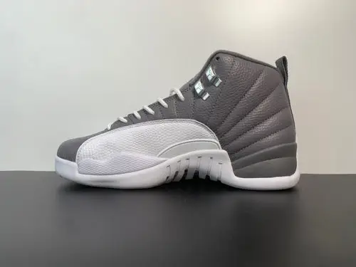 Air Jordan 12 Retro PS 'Stealth' 