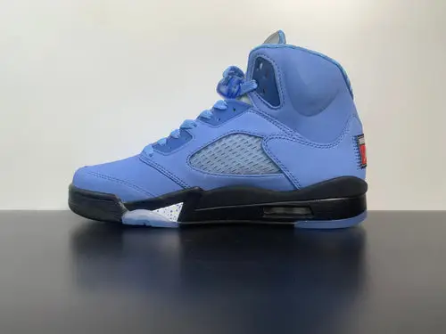 Air Jordan 5 “UNC DV1310-401 