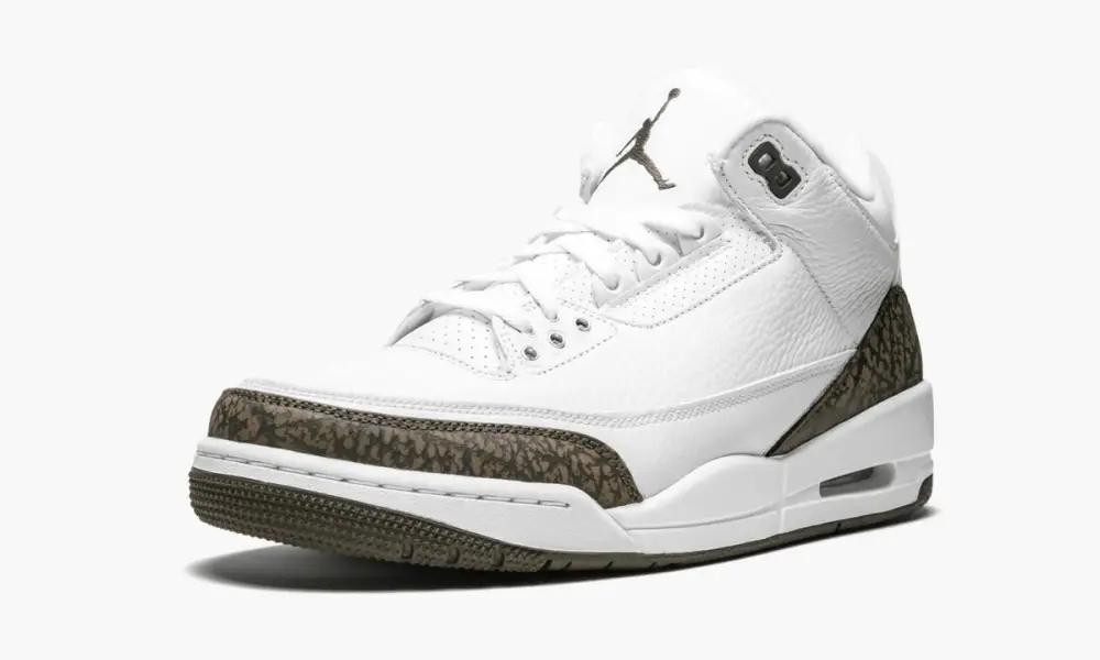 Air Jordan 3 Retro "Mocha" 