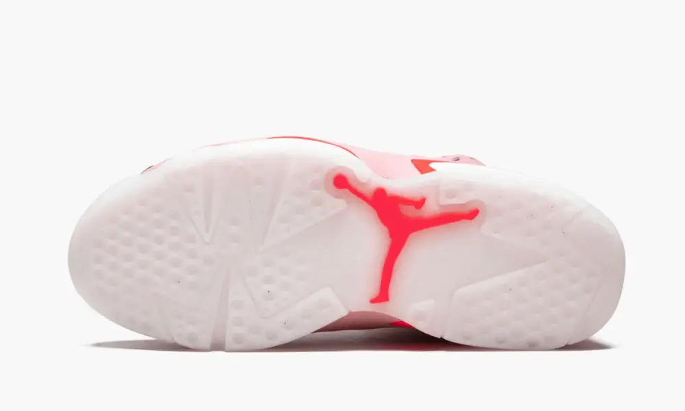 WMNS Air Jordan 6 Retro NRG "Aleali May" 