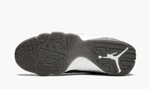 Air Jordan 9 Retro "Cool Grey" 