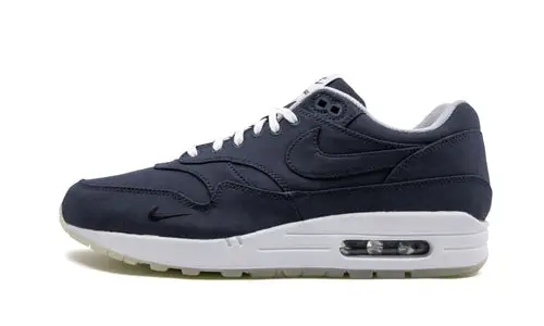 Air Max 1 "DSM" D5DF4484