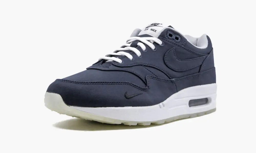 Air Max 1 "DSM" 