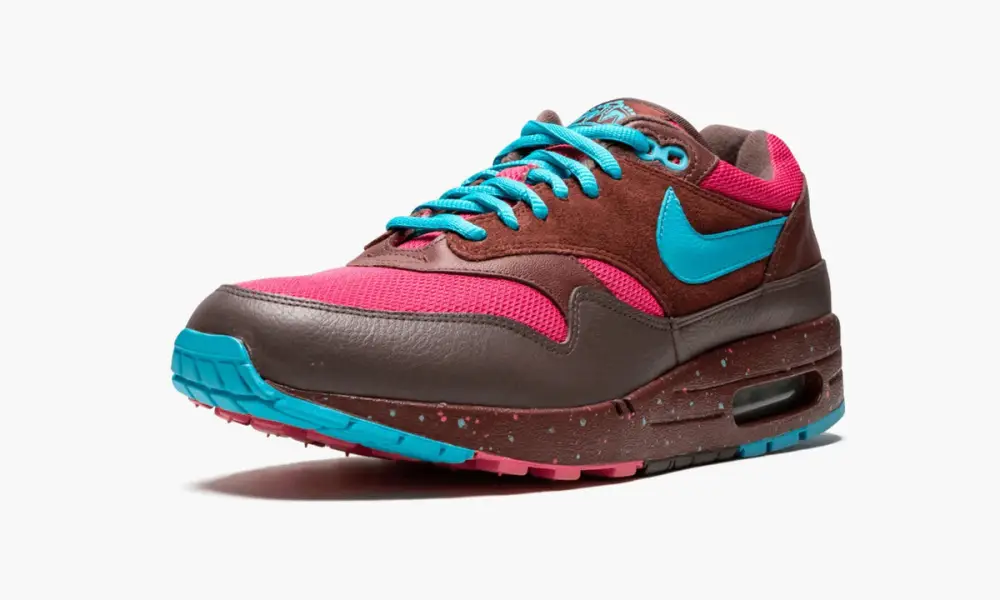 Air AMS Max "Amsterdam" 