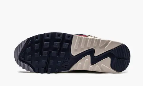 Air Max 90 PRM SE 