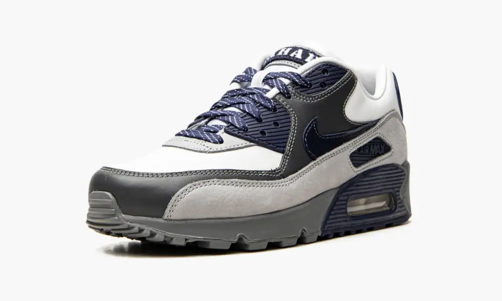 Air Max 90 "Lahar Escape Grey" 
