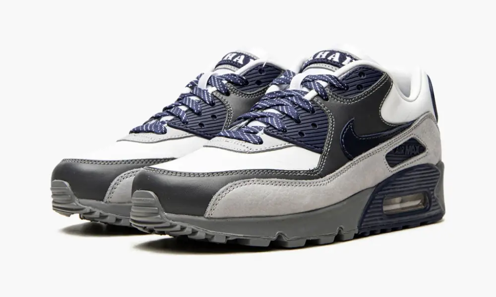 Air Max 90 "Lahar Escape Grey" 