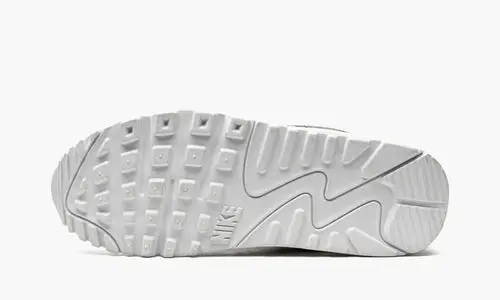 Air Max 90 WMNS "Metallic Pack - Silver" 