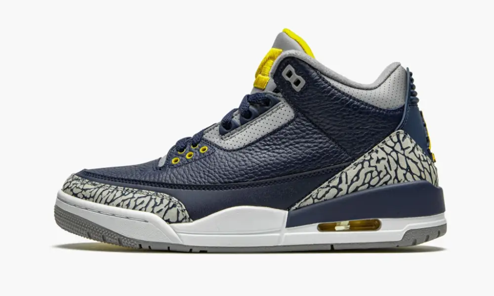 Air Jordan 3 Retro PE "Michigan" 