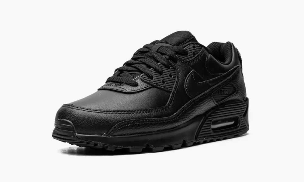 Air Max 90 LTR 