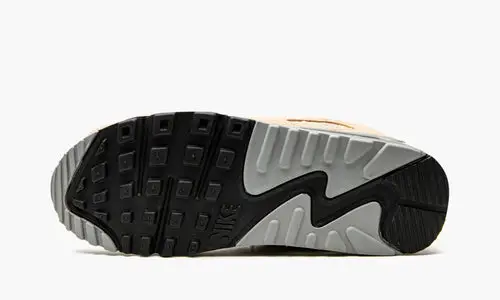 Air Max 90 "Desert Drab" 