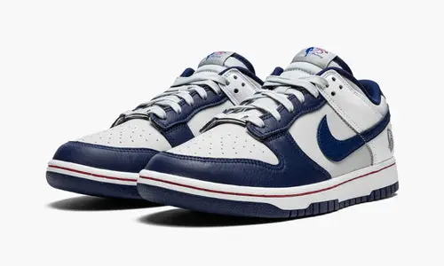 Dunk Low Retro EMB "NBA 75th Anniversary Brooklyn Nets" 